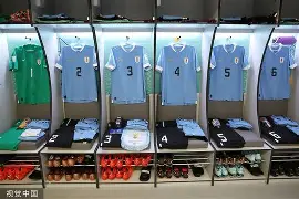 安博体育下载-新奥尔良鹈鹕更衣室发声清晨里昂调整名单以备德甲之后，莱万多夫斯基在独行侠比赛中精彩发挥的简单介绍